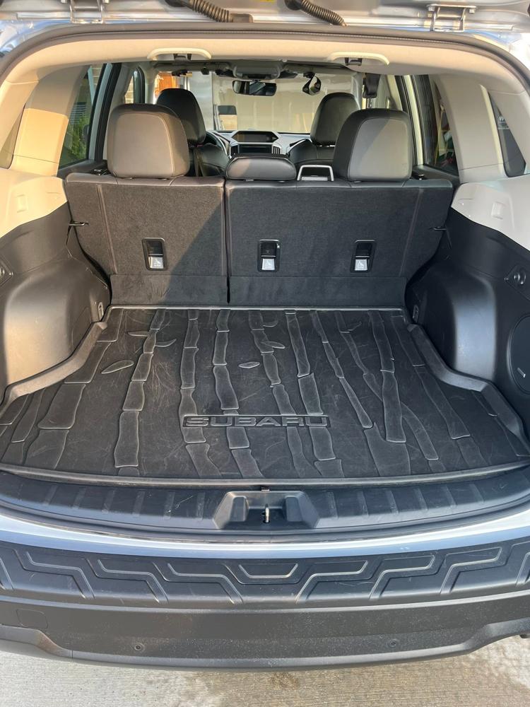 SUV cargo area after cleaning, cargo liner spotless